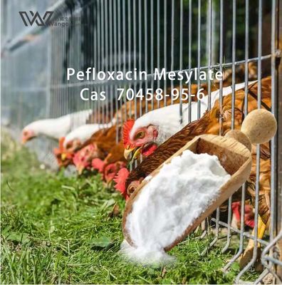 Norfloxacin Hydrochloride Veterinary API 70458-95-6 Chemical Antimicrobial Agents