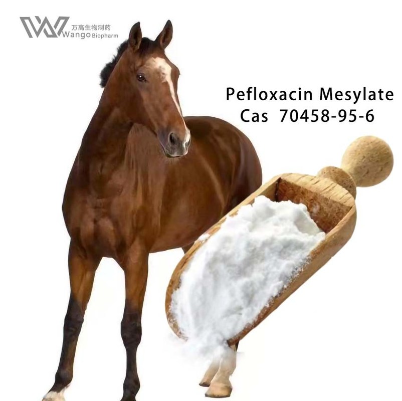Norfloxacin Hydrochloride Veterinary API 70458-95-6 Chemical Antimicrobial Agents