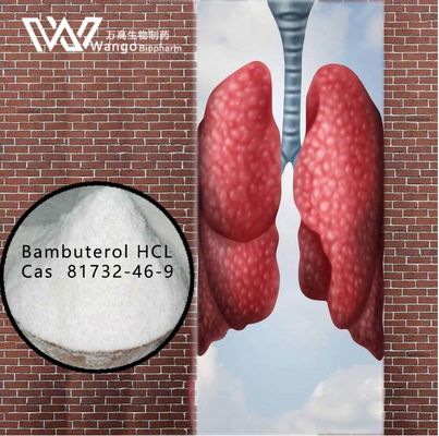 Bambuterol HCL 99% Anti Astımlı Ajanlar 81732-46-9 Bronşiyal Astım Tedavisi İçin