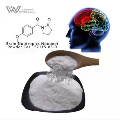 GVS-111 Noopept Oxiracetam Beyaz Toz 157115-85-0 Bilişsel Güçlendirici Ek