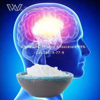 HPLC Nootropics Dökme Tozlar, Alfa Gpc Asetilkolin 28319-77-9