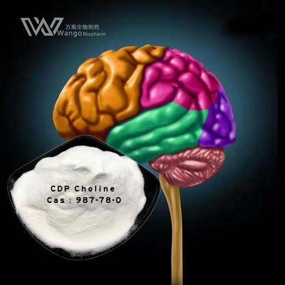 Kalite Ameliyattan sonra beyin iyileşmesi için CDP Kolin Takviyesi Tıbbi ham madde Hızlı teslimat CAS 987-78-0 Fabrika